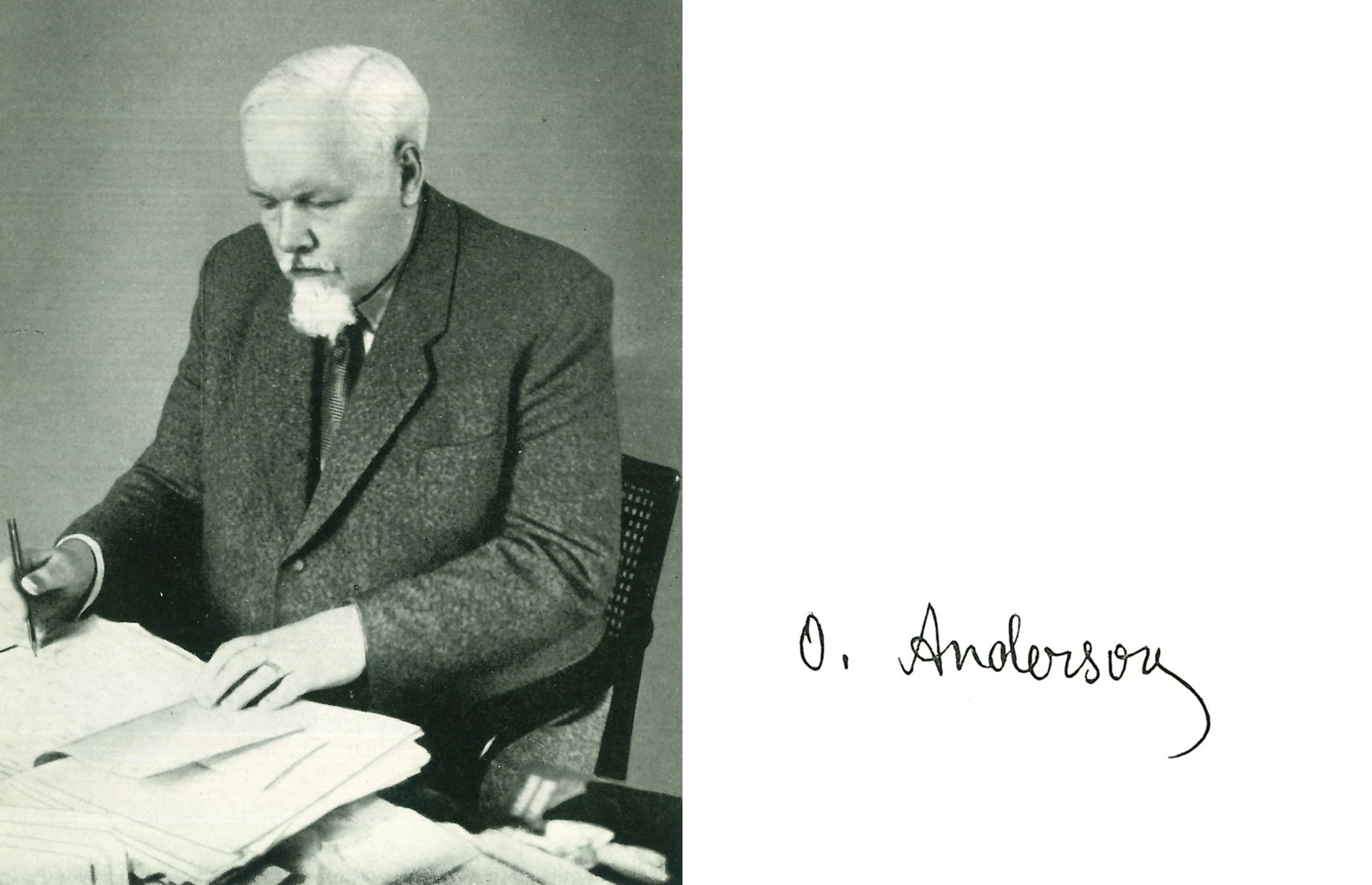 Oskar Anderson Senior