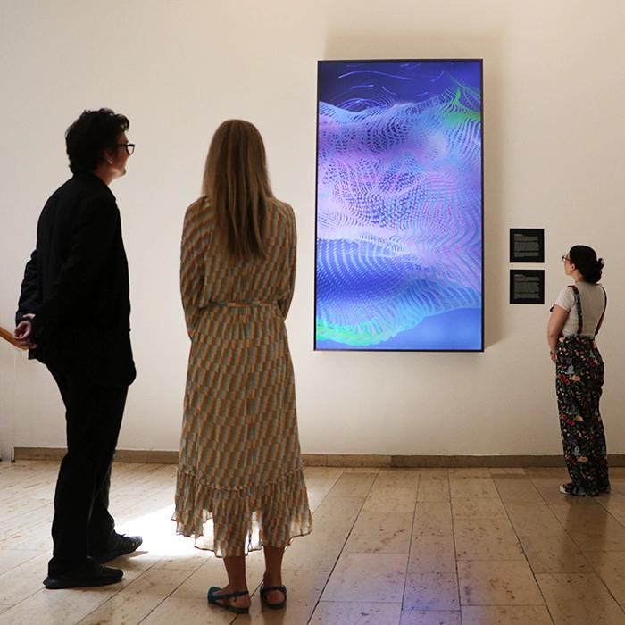 Viewers in front of a screen showing the forms of the data artwork. 